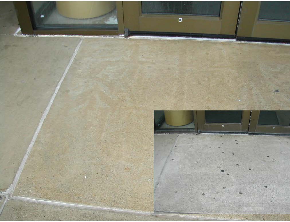 Gum on Sidewalks How Gross! Sparkle Wash Puget Sound