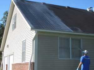 roof cleaning